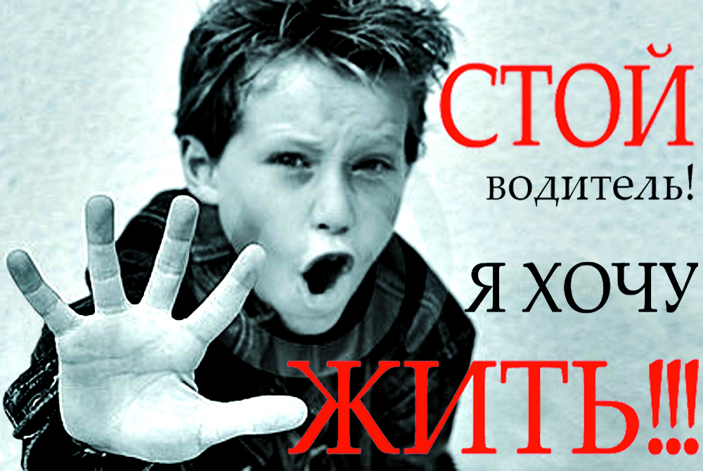 стой водитель я хочу жить.jpg стой водитель я хочу жить.jpg