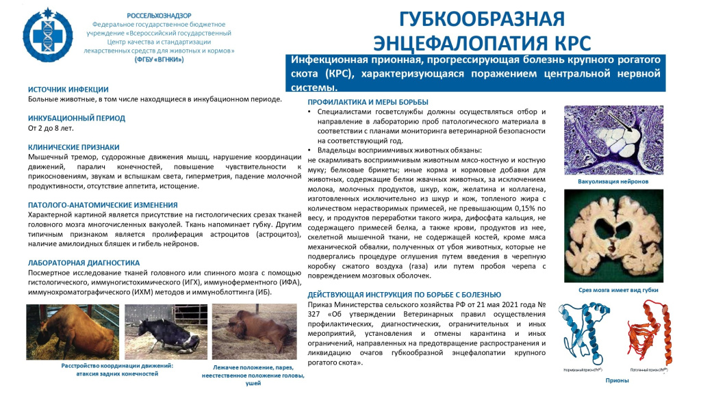 Пямятка ГЭП_page-0001.jpg Пямятка ГЭП_page-0001.jpg